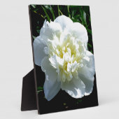 白いエレガント牡丹フローラ白い花写真 フォトプラーク (側面)