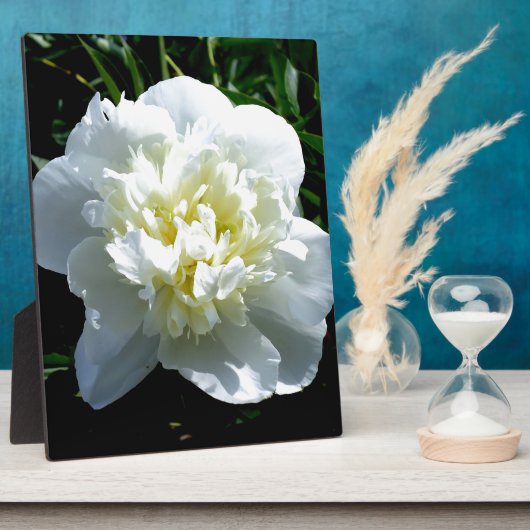 白いエレガント牡丹フローラ白い花写真 フォトプラーク (側面)