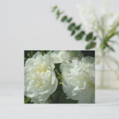 白いエレガント牡丹フローラ白い花写真 ポストカード (スタンド正面)