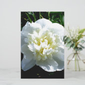 白いエレガント牡丹フローラ白い花写真 便箋 (スタンド正面)