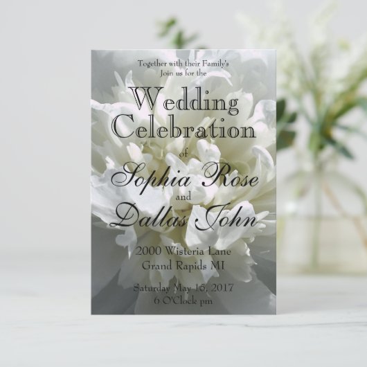 白いエレガント牡丹フローラ白い花写真 招待状 (スタンド正面)