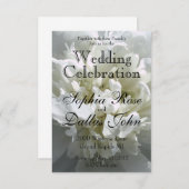 白いエレガント牡丹フローラ白い花写真 招待状 (正面/裏面)