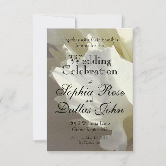 白いエレガント牡丹フローラ白い花写真 招待状 (正面)