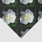 白いエレガント牡丹フローラ白い花写真 薄葉紙 (詳細)