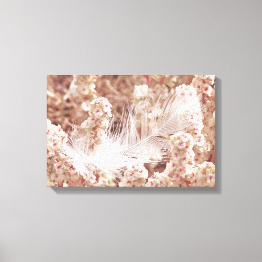 白いエレガント羽毛オン赤面ピンクの花 キャンバスプリント (正面)