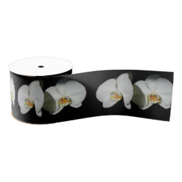 白いエレガント蘭、熱帯フローラ写真 グログランリボン