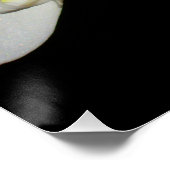 白いエレガント蘭、熱帯フローラ写真 ポスター (コーナー)