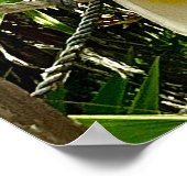 白いオウム・メキシカンのカリブのポスター ポスター (角)