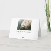 白いオオカミのブランクの挨拶状 カード (裏面)