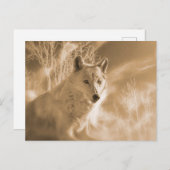 白いオオカミの森 ポストカード (正面/裏面)