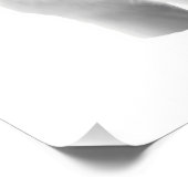 白いオオカミ三匹 フォトプリント            (角)