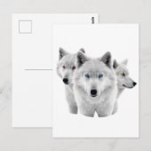 白いオオカミ三匹 ポストカード (正面/裏面)