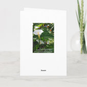 白いオランダカイウのユリが付いているギリシャの悔やみや弔慰カード カード (裏面)