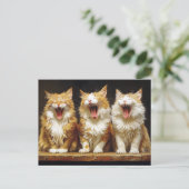 白いオレンジ色の猫おもしろいが3匹歌う ポストカード (スタンド正面)
