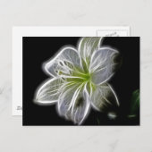 白いオーキッドフラクタルオンブラック ポストカード (正面/裏面)