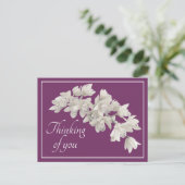 白いオーチッド 紫色の背景 あなたのことを想って ポストカード (スタンド正面)