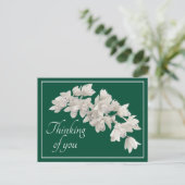 白いオーチッド 緑の背景 あなたのことを想って ポストカード (スタンド正面)