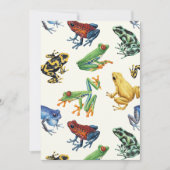 白いカエル (正面)