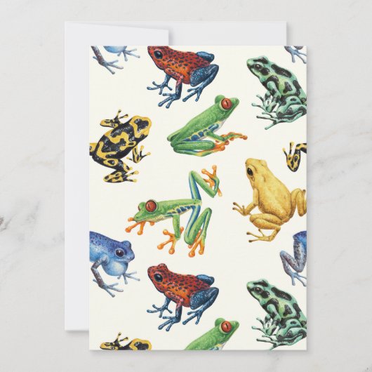 白いカエル (正面)