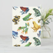 白いカエル (スタンド正面)