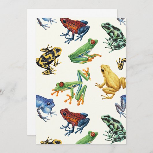 白いカエル (正面/裏面)