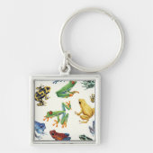 白いカエル キーホルダー (正面)