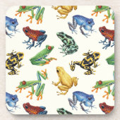 白いカエル コースター (正面)