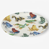 白いカエル ペーパープレート (アングル)