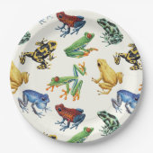 白いカエル ペーパープレート (正面)