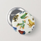 白いカエル 缶バッジ (正面&裏面)