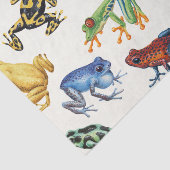 白いカエル 薄葉紙 (詳細)