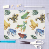 白いカエル 薄葉紙 (クラフト)