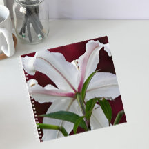 白いカシノキユリの花 フローラル