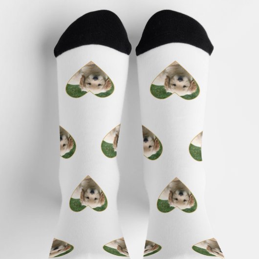 白いカスタムクルーソックスの上にの子犬の写真 ソックス (上部)