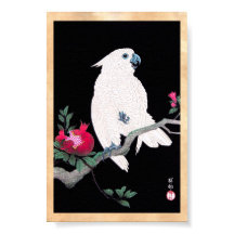 白いカッコいいオウムの熱帯鳥