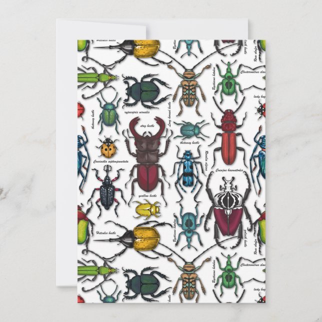 白いカブトムシ (正面)