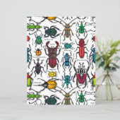 白いカブトムシ (スタンド正面)