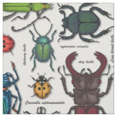 白いカブトムシ ファブリック (見本)