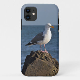 白いカモメおよび海 iPhone 11 ケース