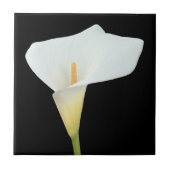白いカラユリの花の裏庭の庭の写真 タイル (正面)