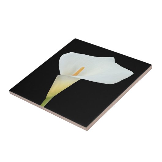 白いカラユリの花の裏庭の庭の写真 タイル (側面)