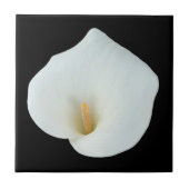 白いカラユリの花の裏庭の庭の写真 タイル (正面)