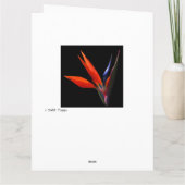 白いカードにハートが入った極楽鳥 カード (裏面)