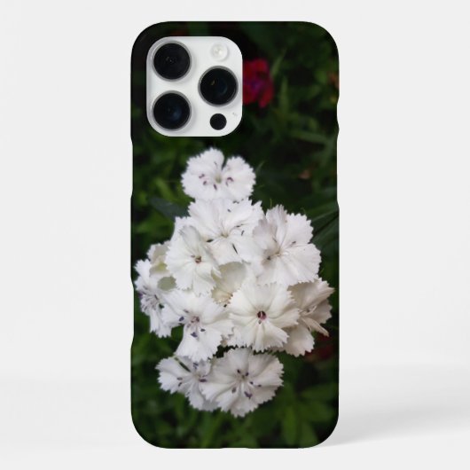 白いカーネーションの花 iPhoneケース (裏面)