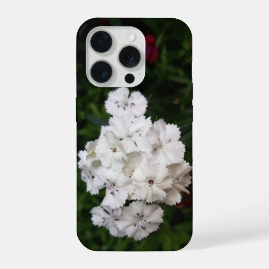 白いカーネーションの花 iPhoneケース (裏面)