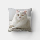 白いカーペットの上でポーズをとる白い猫 クッション (正面)