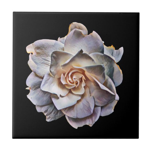 白いガーデニア黒い背景 タイル (正面)