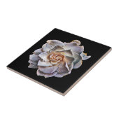 白いガーデニア黒い背景 タイル (側面)