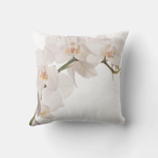 白いガ蘭 クッション (裏面)