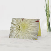 白いキクの花の写真 カード (正面)